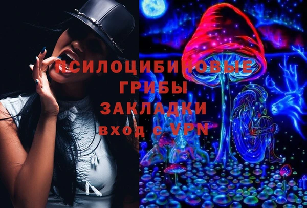 ECSTASY Алзамай